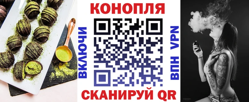Купить  Димитровград  Canna-Cookies конопля 