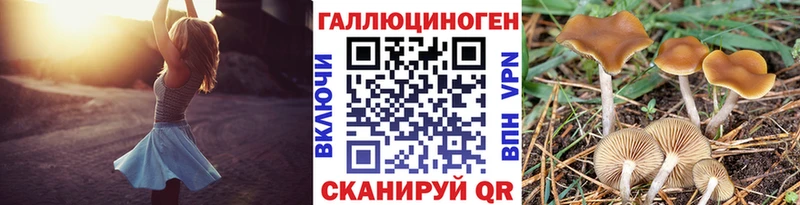 Псилоцибиновые грибы Psilocybine cubensis Купить где Димитровград