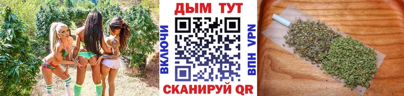 Купить закладки  Димитровград  Бошки марихуана конопля 